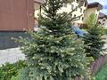 2-бөлмелі пәтер · 84 м² · 5/5 қабат, Дружбы народов 2/3, бағасы: 42.9 млн ₸ в Усть-Каменогорске — фото 64