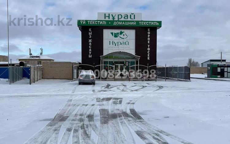 Ойын-сауық · 1200 м², бағасы: 280 млн ₸ в  — фото 13
