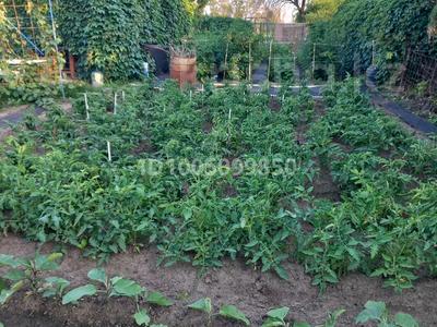 Дача · 3 комнаты · 51 м² · 6 сот., СК "Мелиаратор" 11 за 4.5 млн 〒 в Актобе, жилой массив Акжар-2