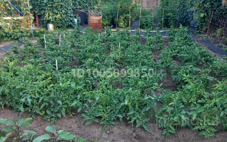 Саяжай · 3 бөлме · 51 м² · 6 жүзд., СК "Мелиаратор" 11, бағасы: 4.5 млн ₸ в Актобе, жилой массив Акжар-2 — фото 2