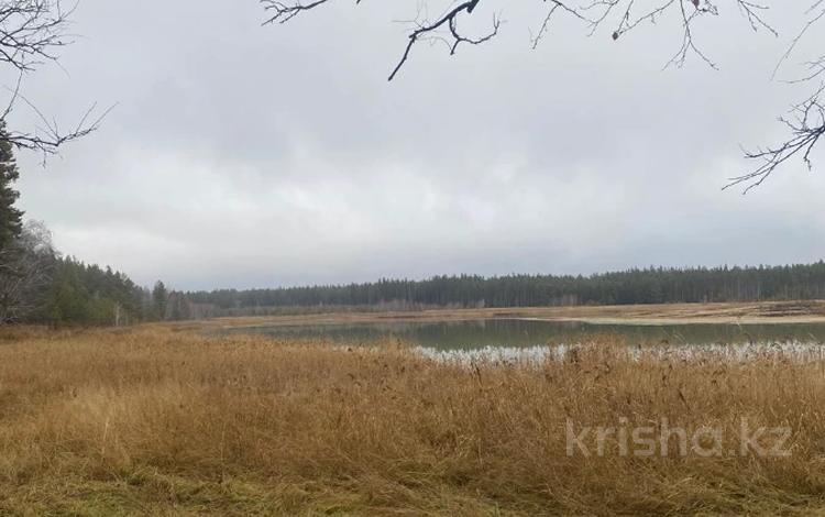 Жер телімі · 4.5 га, Г. Костанай, бағасы: 35 млн ₸ в Алтынсарино (Костанайский район) — фото 9