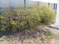 Жеке үй · 3 бөлме · 30 м² · 7 жүзд., Касым кайсенов 43 — Рк, бағасы: 8 млн ₸ в Кокшетау — фото 21