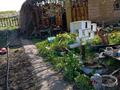 Дача · 1 комната · 10 м² · 10 сот., Садоводческий коллектив СПМК-2 Саздинский 46 за 1.5 млн ₸ в Актюбинской обл.