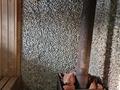 Дача · 3 комнаты · 42 м², жилой массив Кайнар Булак, Транспортная 10 — Транспортная Мичурина за 40 000 〒 в Шымкенте, Абайский р-н — фото 6