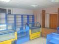 Свободное назначение, магазины и бутики, склады, азс, автосервисы и автомойки, общепит · 200 м² за 35 млн ₸ в Карабалыке — фото 8
