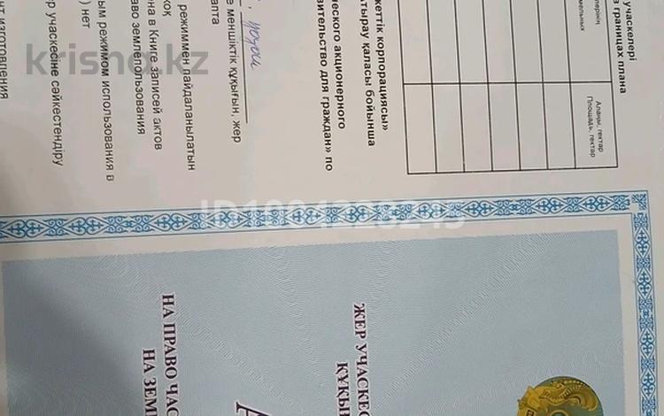 Участок · 10 соток, Береке (Память Ильича), ул Касымхан 2г — Магазин Асем за 7.5 млн ₸ в Атырау — фото 5