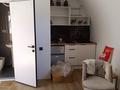 1-комнатная квартира · 20 м², Бутаковская 33б — Воһле горького парка за 200 000 ₸ в Алматы, Медеуский р-н — фото 4
