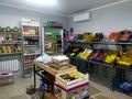 Готовый бизнес магазин · 45 м² за 9.4 млн 〒 в Кокшетау — фото 4
