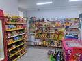 Магазины и бутики • 60 м² за 27 млн 〒 в Актобе, мкр Авиагородок — фото 6