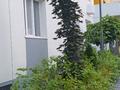 3-бөлмелі пәтер · 55 м² · 9/10 қабат, Алтын Орда 7/1а, бағасы: 32 млн ₸ в Абай — фото 15