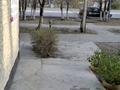 Сұлулық салондары · 45 м², бағасы: 40 млн ₸ в Сатпаев — фото 2