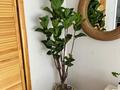 2-бөлмелі пәтер · 46.5 м² · 4/10 қабат, Шұғыла ш/а., бағасы: 36.5 млн ₸ в Алматы, Наурызбайский р-н — фото 14