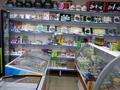 Магазины и бутики • 207 м² за 75 млн 〒 в Жезказгане — фото 5