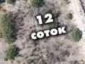 Жер телімі · 12 сотық, Сабалак, ст Арман, бағасы: 2.5 млн ₸ в  — фото 3