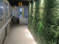 Еркін · 500 м², бағасы: 145 млн ₸ в  — фото 4