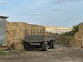 Сельское хозяйство · 160 м² за 70 млн ₸ в Кокпекты — фото 10