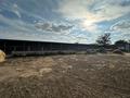 Сельское хозяйство · 160 м² за 70 млн ₸ в Кокпекты — фото 17