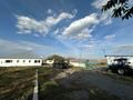 Сельское хозяйство · 160 м² за 70 млн ₸ в Кокпекты — фото 6