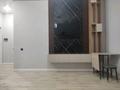 2-комнатная квартира · 38 м² · 6 этаж, Казыбек би — Казыбек Би за 250 000 ₸ в Астане, Есильский р-н — фото 2