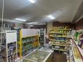 Еркін · 100 м², бағасы: 60 млн ₸ в Астане, Сарыарка р-н — фото 7