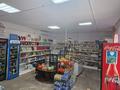 Магазины и бутики • 60 м² за 16 млн 〒 в Хромтау — фото 8