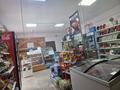 Магазины и бутики • 60 м² за 16 млн 〒 в Хромтау — фото 9