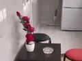 3-бөлмелі пәтер · 60 м² · 1/5 қабат, 8-шағынаудан 16, бағасы: 10 000 ₸ в Шымкенте, Туран р-н — фото 9