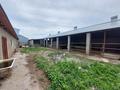 Сельское хозяйство · 780 м² за 30 млн ₸ в Шубар — фото 24