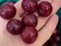 Саяжай · 2 бөлме · 60 м² · 5 сот., Кожаберген Жирау — Пёстре, бағасы: 15.9 млн ₸ в Петропавловске — фото 34