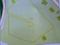 Жер телімі 1.3 га, мкр Карагайлы, Нажмадинова 122, бағасы: 550 млн 〒 в Алматы, Наурызбайский р-н