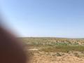 Участок · 440 га, Караой за ~ 130 млн ₸