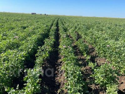 Участок · 237 га, Семилетка за 110 млн 〒 в Костанае