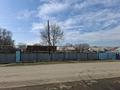 Участок · 12 соток, Алтынсарина 33 — Возле школы за 15 млн ₸ в Береке — фото 14