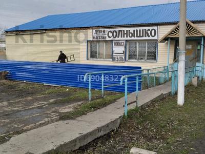 Еркін, дүкендер мен бутиктер · 202 м², бағасы: 15 млн ₸ в 