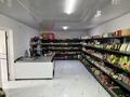 Магазин · 65 м², бағасы: 12.5 млн 〒 в Петропавловке — фото 7