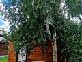 Жеке үй · 1 бөлме · 16 м², Кулагер 12А, бағасы: 6 000 ₸ в Бурабае — фото 6