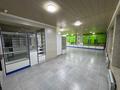 Свободное назначение, медцентры и аптеки · 300 м² за 108 млн ₸ в Байтереке (Новоалексеевке) — фото 7