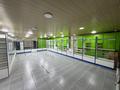 Свободное назначение, медцентры и аптеки · 300 м² за 108 млн ₸ в Байтереке (Новоалексеевке) — фото 8