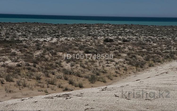 Участок · 5 соток, Кызылкум 194/52 — Омир глемпинг за 5.2 млн 〒 в Батыре — фото 2