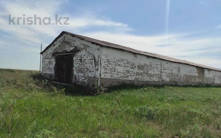Қоймалар, ауыл шаруашылығы · 1738 м², бағасы: ~ 1.4 млн ₸ в Сандыктау — фото 2