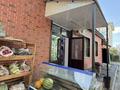 Магазины и бутики · 130 м² за 75 млн ₸ в Алматы, Наурызбайский р-н — фото 10