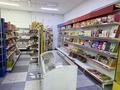 Магазины и бутики · 130 м² за 75 млн ₸ в Алматы, Наурызбайский р-н — фото 6