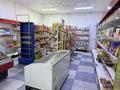 Магазины и бутики · 130 м² за 75 млн ₸ в Алматы, Наурызбайский р-н — фото 7