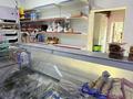 Магазины и бутики · 130 м² за 75 млн ₸ в Алматы, Наурызбайский р-н — фото 8