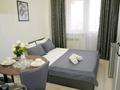 1-комнатная квартира · 30 м² · 5/12 этаж, Торайгырова 21/1 за 230 000 ₸ в Алматы, Бостандыкский р-н