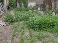 Жеке үй · 6 бөлме · 130 м² · 10 жүзд., Құрылысшы ш/а., Пр. Райымбека — ул. Тлендиева, бағасы: 75 млн ₸ в Алматы, Алатауский р-н — фото 36