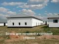 Отдельный дом · 6 комнат · 500 м² · 100 сот., Байсеитова за 160 млн 〒 в  — фото 6
