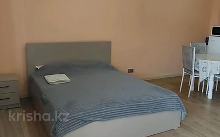 1-бөлмелі пәтер · 25 м², Зайсан, бағасы: 130 000 ₸ в Конаеве — фото 2