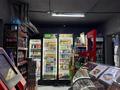 Перспективный ,круглосуточный магазин · 81 м² за 81.6 млн ₸ в Астане, Есильский р-н — фото 16