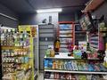 Перспективный ,круглосуточный магазин · 81 м² за 81.6 млн ₸ в Астане, Есильский р-н — фото 2